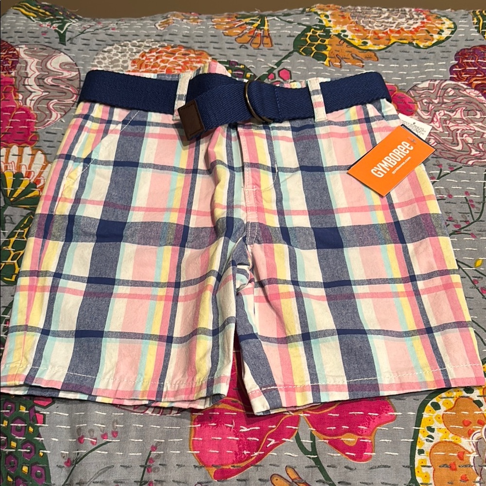 Gymboree Blue and Pink Flat Front Shorts